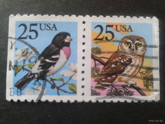 США 1988 стандарт, птицы сцепка
