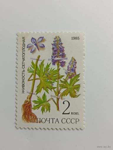 1985 СССР. Флора. Живокость сетчатоплодная