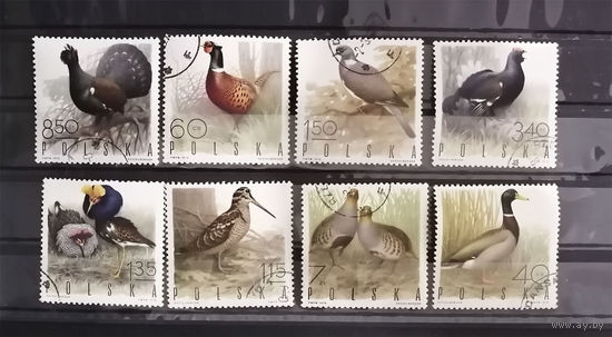 Польша 1970 г. Птицы. Фауна, полная серия из 8 марок #0093-Ф2P17