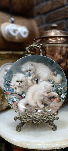 Аукцион с рубля! 58 Винтажная настенная декоративная тарелка Персидские котята фарфор Knowles