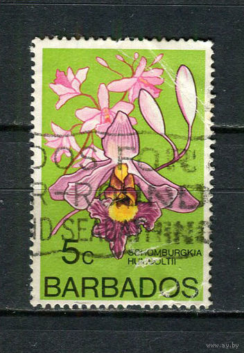 Барбадос - 1974/1979 - Орхидея 5С - [Mi.369X] - 1 марка. Гашеная.  (Лот 85Dh)