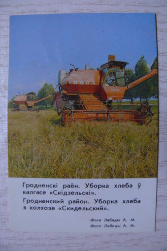 Календарик, 1986, Гродненский район. Уборка хлеба в колхозе "Скидельский".