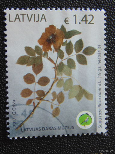 Латвия 2017 г. Флора.