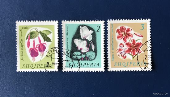 Албания 1965 год Флора Цветы Серия 3 марки Mi: 959-961 Гашеные