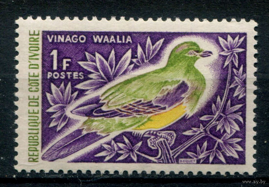 Кот д'Ивуар - 1966г. - птицы, 1 F - 1 марка - MNH. Без МЦ!