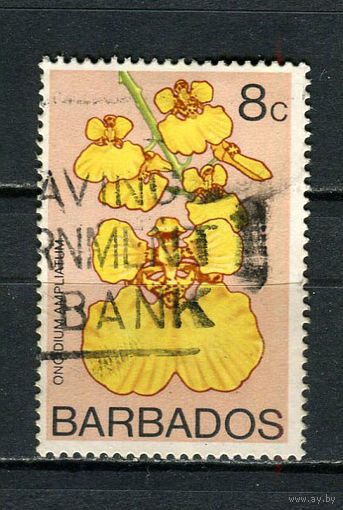 Барбадос - 1974/1979 - Орхидея 8С - [Mi.370X] - 1 марка. Гашеная.  (Лот 86Dh)