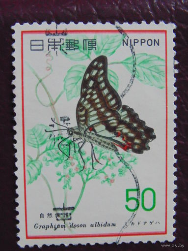 Япония. Бабочка.