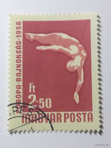 Венгрия 1958. Международные чемпионаты по борьбе и Европейскому плаванию и настольному теннису