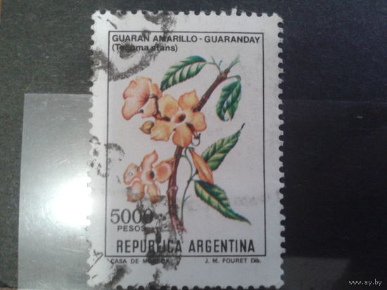 Аргентина 1982 Цветы 5000 песо