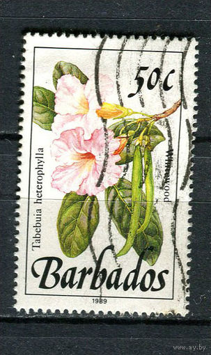 Барбадос - 1989/1990 - Цветы 50С - [Mi.734X] - 1 марка. Гашеная.  (Лот 93Dh)