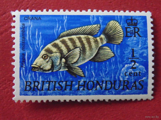 Британский Гондурас 1969 год. Рыбы.