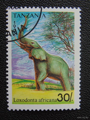 Танзания 1991 г. Слон.