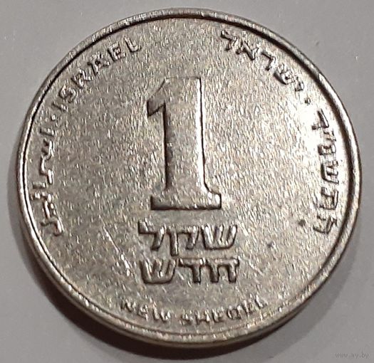 Израиль 1 новый шекель, 1994 (7-1-15)