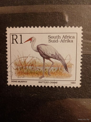 Восточная Африка 1993. Wattled Crane