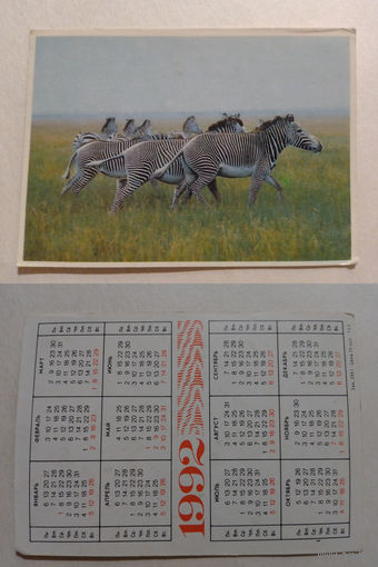 Карманный календарик.1992 год. Зебры
