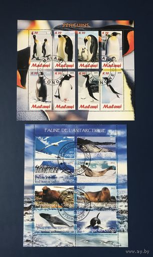 Распродажа марок Малави 2012 год Пингвины Конго 2012 год Фауна Антарктики