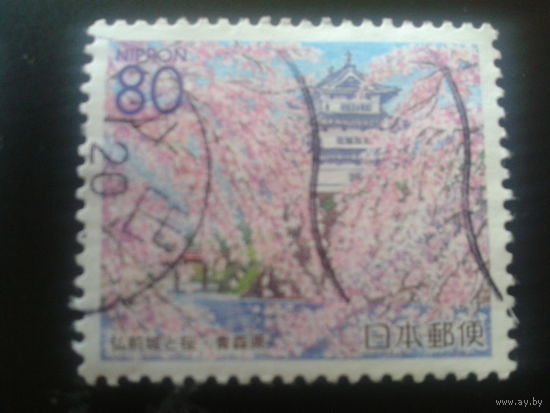 Япония 2000 в цвету