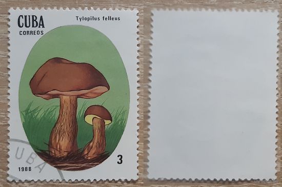 Куба 1988 Ядовитые грибы.3 с
