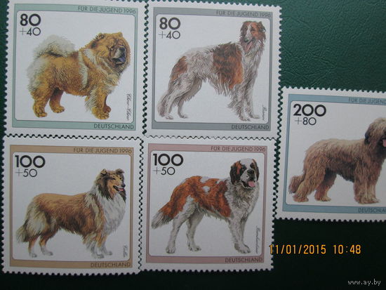 Собаки комплект 1996 г
