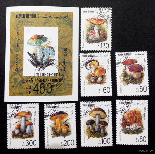 Йемен 1990  г. Грибы. Флора, полная серия из 7 марок + Блок #0210-Ф1P29