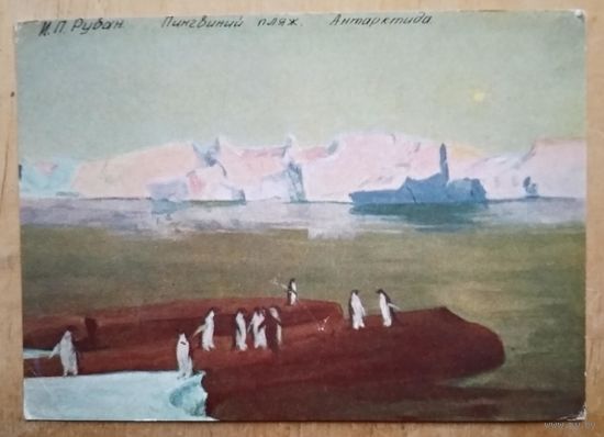 Рубан И. Пингвиний пляж. Антарктика. Соцреализм. 1958 г. Чистая.