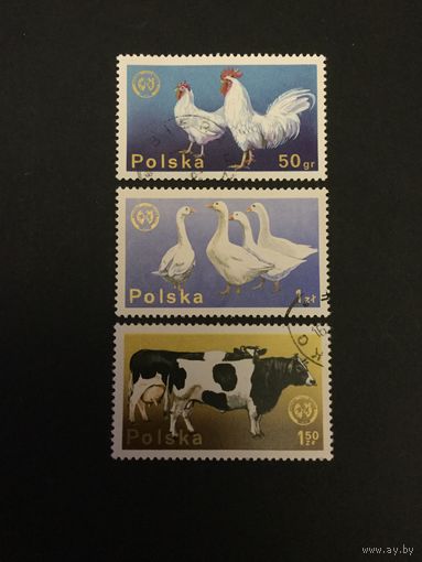 Сельскохозяйственные животные. Польша,1975, 3 марки из серии