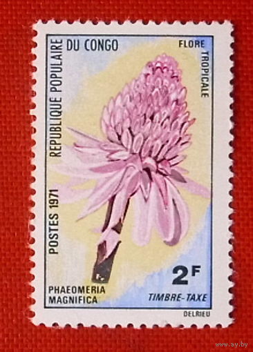 Конго. Цветы. ( 1 марка ) 1971 года.