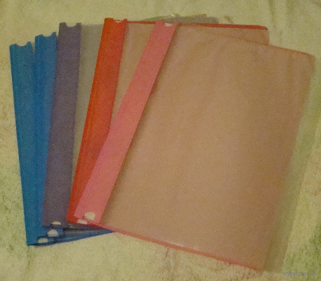 Набор из  5 цветных  пластиковых  папок  скоросшивателей  с  5 файлами (1)
