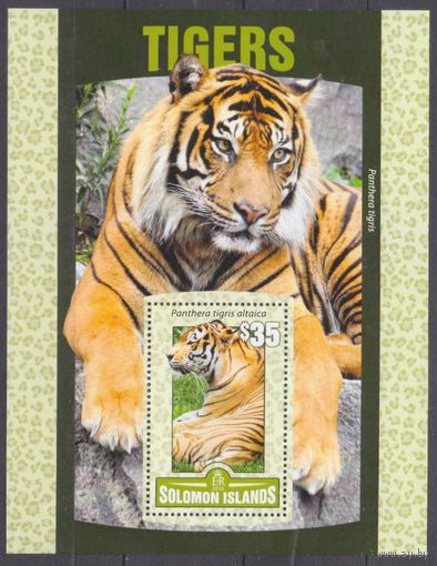 2016 Соломоновы Острова 3595/B499 Кошки - Тигр 11,00 евро