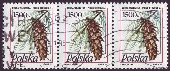Сосны Польша 1991 год сцепка из 2-х марок