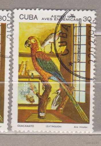 Птицы Фауна Куба 1978 год лот 1075     Попугаи