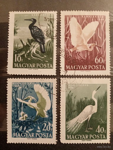 Венгрия 1959. Фауна. Птицы