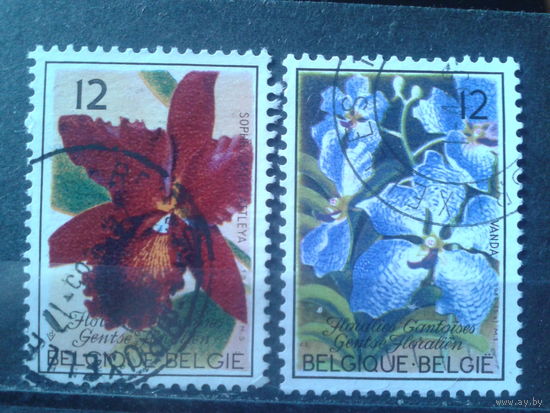 Бельгия 1985 Орхидеи