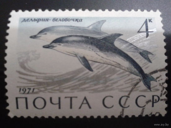 СССР 1971 дельфин