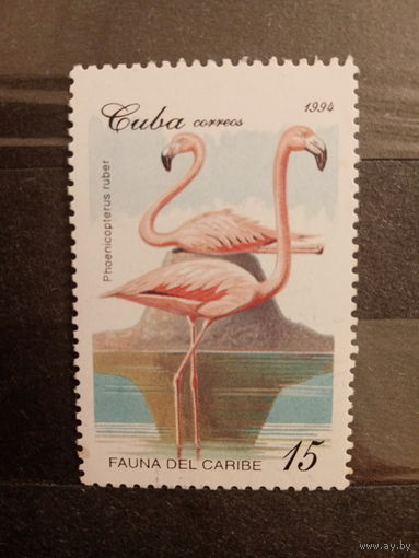 Куба 1994. Птицы. Фламинго