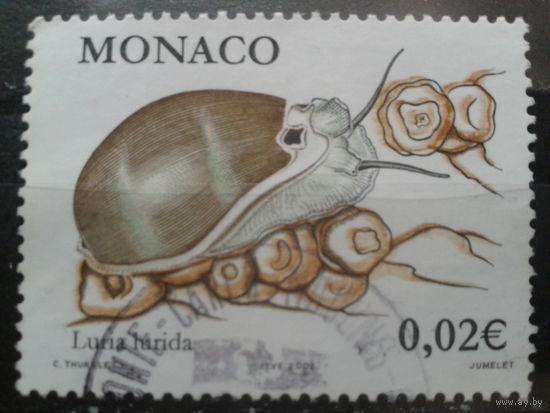 Монако 2002 фауна