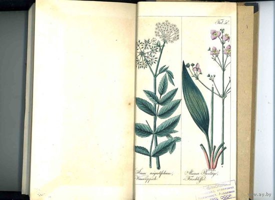 R!R!R! Ионсон, Я. И.Правила оценки земель 1840 г. 120 раскрашенных от руки гравюр на меди с изображением редких растений дико произрастающих в России.