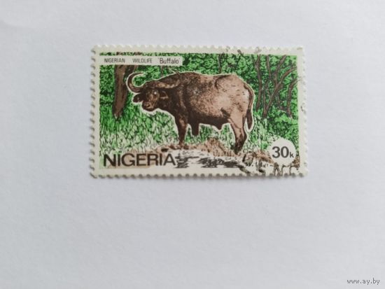 Нигерия 1984  буйвол