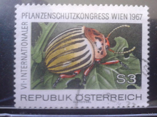 Австрия 1967 Колорадский жук