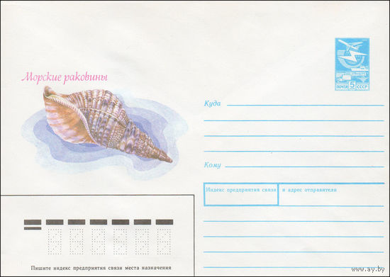 Художественный маркированный конверт СССР N 87-528 (11.12.1987) Морские раковины [Международная Красная книга. Тритонов рог]