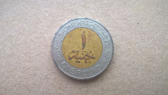 Египет 1 фунт, 2007г. (D-67)