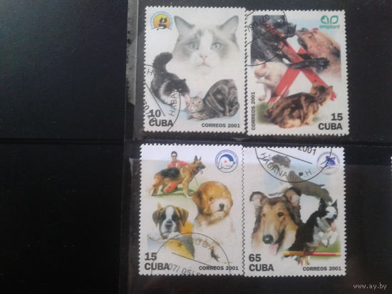 Куба 2001 Коты и собаки