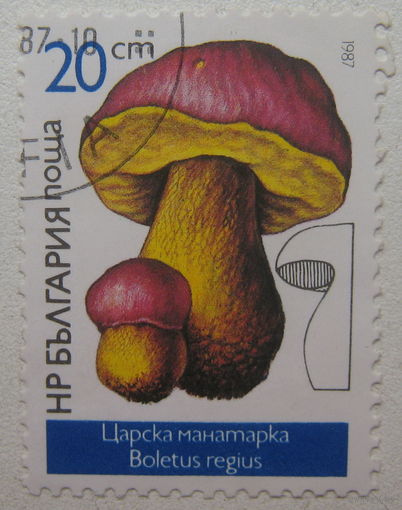 Болгария марка 1987 г. Грибы