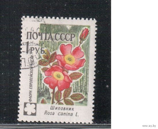 СССР-1960, (Заг.2416), гаш.(с клеем) , Флора, Цветы