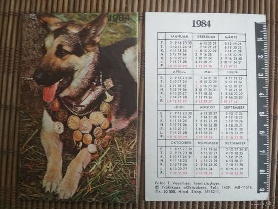 Карманный календарик.1984 год. Овчарка