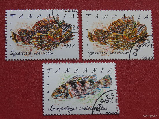 Танзания 1991г. Морская фауна.
