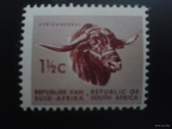 ЮАР 1961 стандарт, буйвол