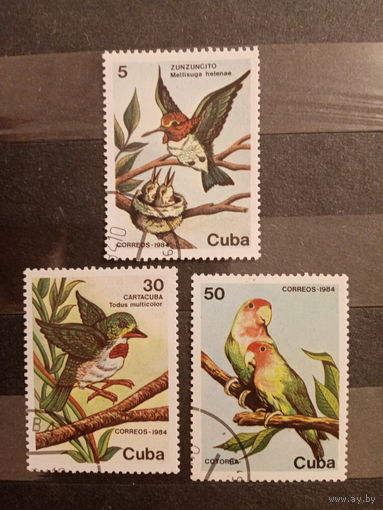 Куба 1984. Фауна. Птицы