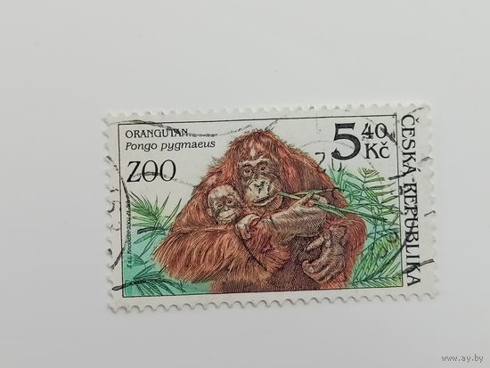 Чехия 2001. Охрана природы - Животные зоопарка
