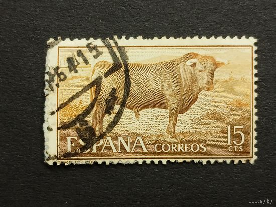 Испания 1960. Бой быков